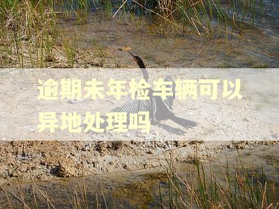 逾期未年检车辆可以异地处理吗