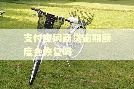 支付宝网商贷逾期额度会恢复吗