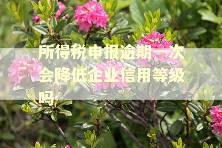 所得税申报逾期一次会降低企业信用等级吗