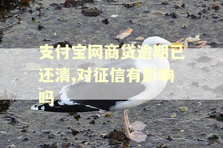 支付宝网商贷逾期已还清,对征信有影响吗