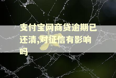 支付宝网商贷逾期已还清,对征信有影响吗
