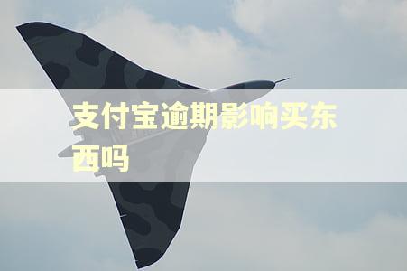 支付宝逾期影响买东西吗