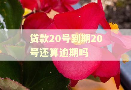 贷款20号到期20号还算逾期吗