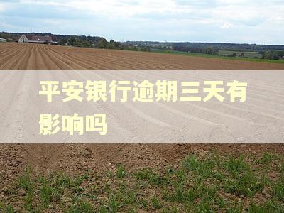 平安银行逾期三天有影响吗