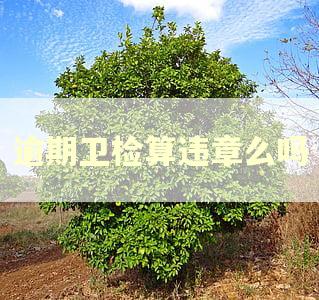 逾期卫检算违章么吗