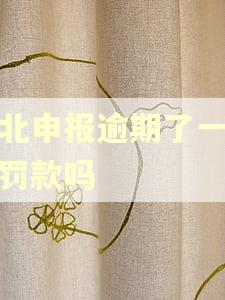 河北申报逾期了一定会罚款吗