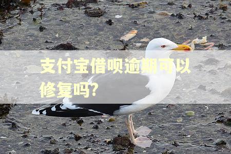 支付宝借呗逾期可以修复吗?