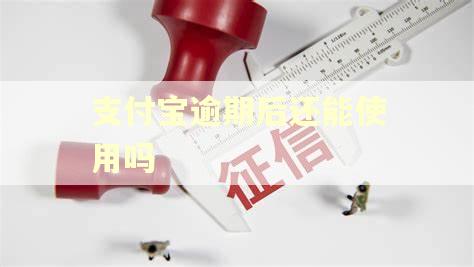 支付宝逾期后还能使用吗