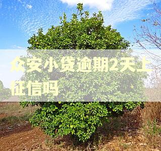众安小贷逾期2天上征信吗