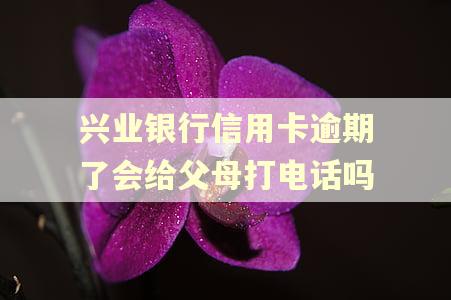 兴业银行信用卡逾期了会给父母打电话吗
