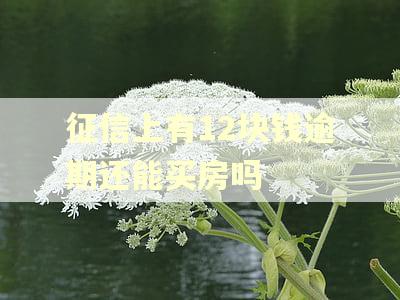 征信上有12块钱逾期还能买房吗