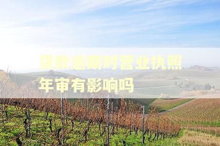 贷款逾期对营业执照年审有影响吗 贷款逾期对营业执照年审有影响吗