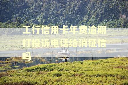 工行信用卡年费逾期打投诉电话给消征信吗