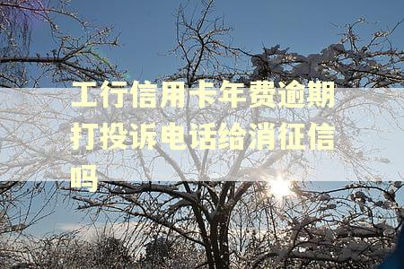 工行信用卡年费逾期打投诉电话给消征信吗