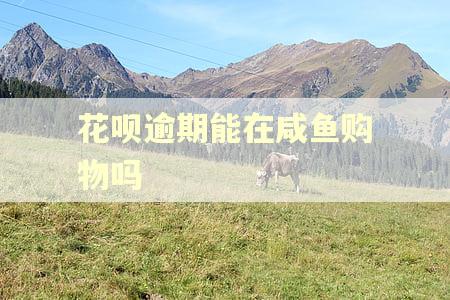 花呗逾期能在咸鱼购物吗