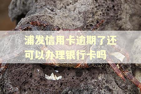 浦发信用卡逾期了还可以办理银行卡吗 浦发信用卡逾期了还可以办理银行卡吗