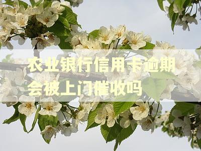 农业银行信用卡逾期会被上门催收吗