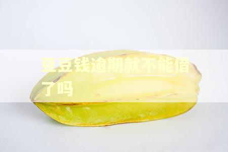 豆豆钱逾期就不能借了吗