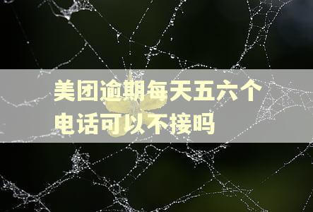 美团逾期每天五六个电话可以不接吗
