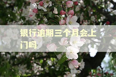 银行逾期三个月会上门吗