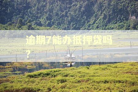 逾期7能办抵押贷吗?