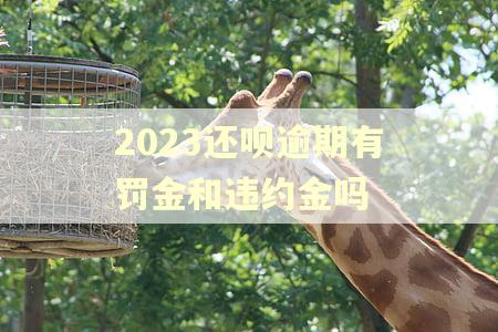 2023还呗逾期有罚金和违约金吗