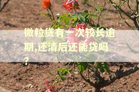 微粒贷有一次较长逾期,还清后还能贷吗?