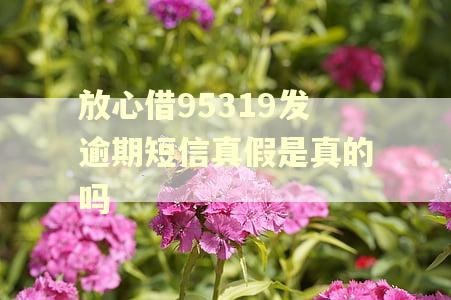 放心借95319发逾期短信真假是真的吗