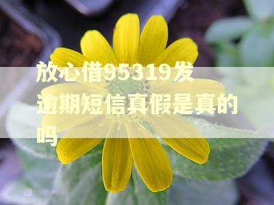 放心借95319发逾期短信真假是真的吗 放心借95319发逾期短信真假是真的吗
