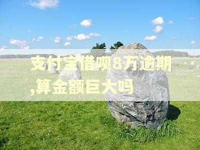 支付宝借呗8万逾期,算金额巨大吗
