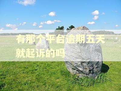 有那个平台逾期五天就起诉的吗