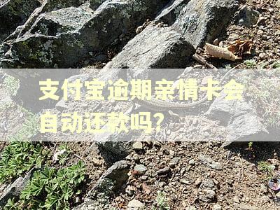 支付宝逾期亲情卡会自动还款吗?