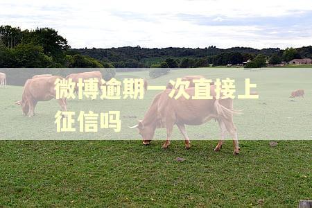 微博逾期一次直接上征信吗 微博逾期一次直接上征信吗