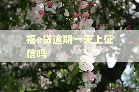 福e贷逾期一天上征信吗