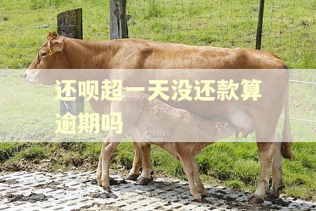 还呗超一天没还款算逾期吗