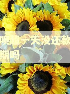 还呗超一天没还款算逾期吗