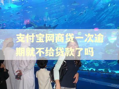 支付宝网商贷一次逾期就不给贷款了吗