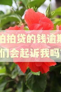 欠拍拍贷的钱逾期了,他们会起诉我吗?