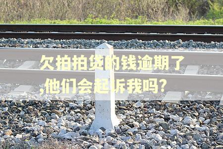 欠拍拍贷的钱逾期了,他们会起诉我吗?