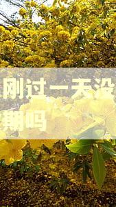 还呗刚过一天没还也算逾期吗