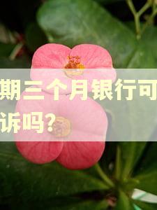 逾期三个月银行可以起诉吗？
