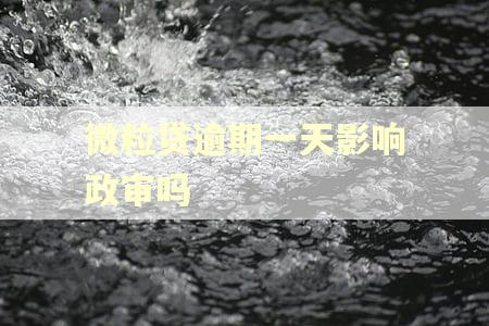 微粒贷逾期一天影响政审吗