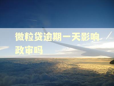 微粒贷逾期一天影响政审吗