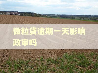 微粒贷逾期一天影响政审吗
