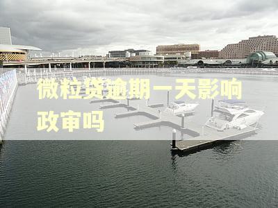 微粒贷逾期一天影响政审吗 微粒贷逾期一天影响政审吗