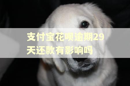 支付宝花呗逾期29天还款有影响吗