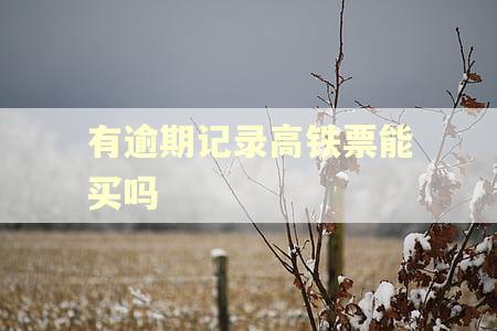 有逾期记录高铁票能买吗