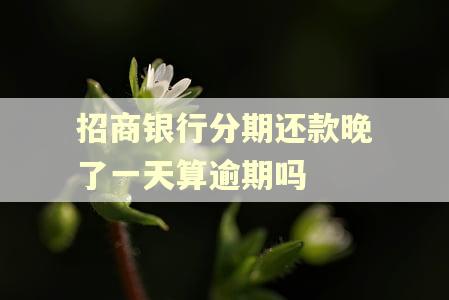 招商银行分期还款晚了一天算逾期吗