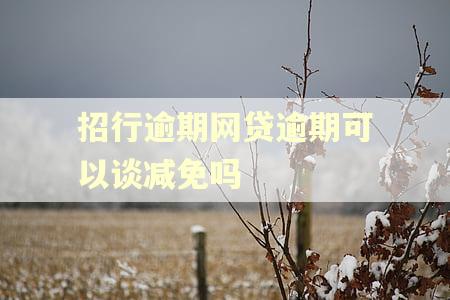 招行逾期网贷逾期可以谈减免吗