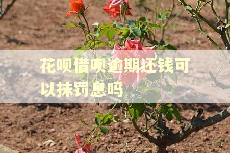 花呗借呗逾期还钱可以抹罚息吗